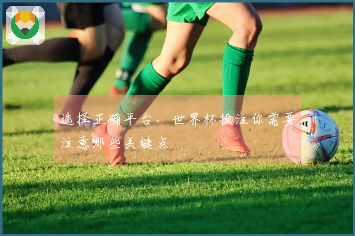 选择正确平台，世界杯投注你需要注意哪些关键点