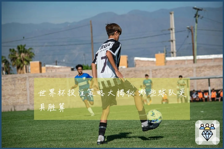 世界杯投注策略大揭秘 哪些球队更具胜算