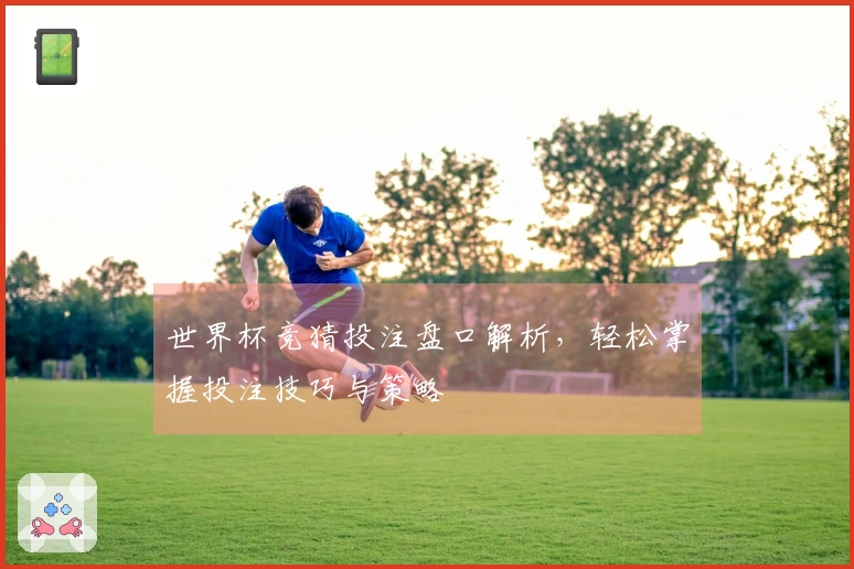 世界杯竞猜投注盘口解析，轻松掌握投注技巧与策略
