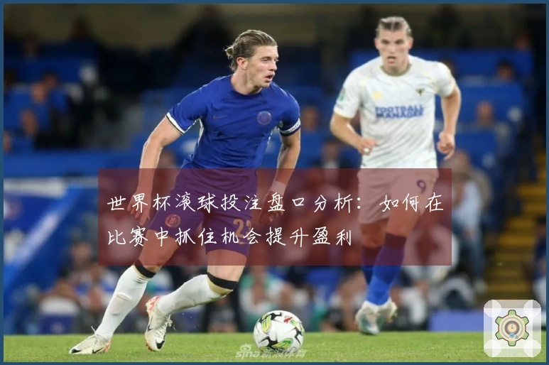世界杯滚球投注盘口分析：如何在比赛中抓住机会提升盈利