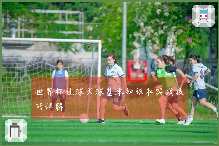 世界杯让球买球基本知识和实战技巧详解