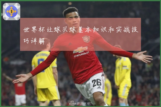 世界杯让球买球基本知识和实战技巧详解