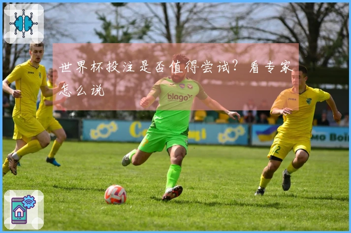 世界杯投注是否值得尝试？看专家怎么说