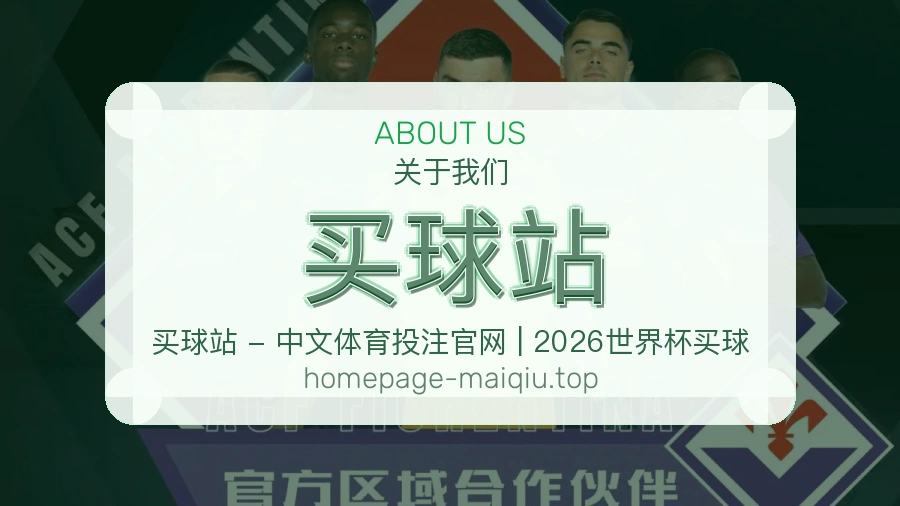 关于 买球站 团队与服务